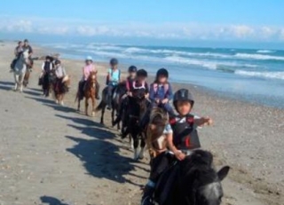 Centre equestre a Maurin dans l Herault